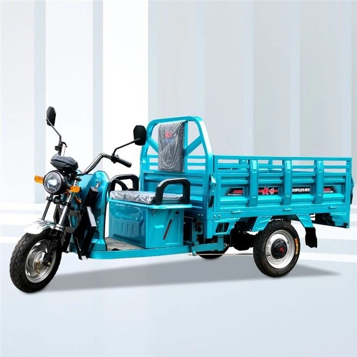 cheap 1000W Electric Tricycle