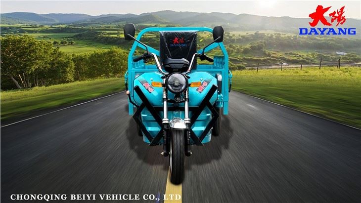 Environmentally friendly 1000W Electric Tricycle