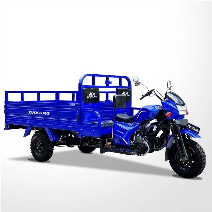factory Iron Motorized Cargo Tricycle 250cc Three Wheeler