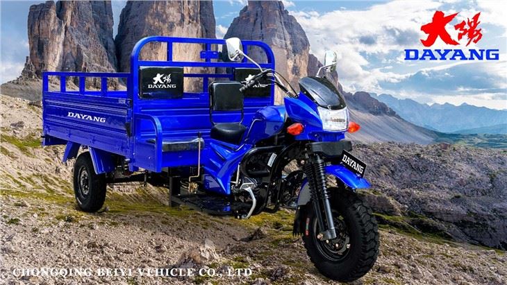 Iron Motorized Cargo Tricycle 250cc Three Wheeler OEM
