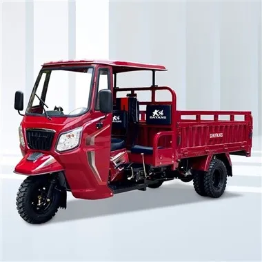 سه چرخه 350cc Motorisé Carguero