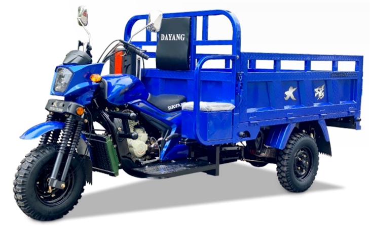 DY-200ZH Three Wheeled Motorcycle